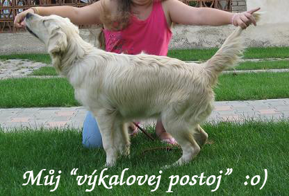 aura_kakaci_postoj1copy.jpg